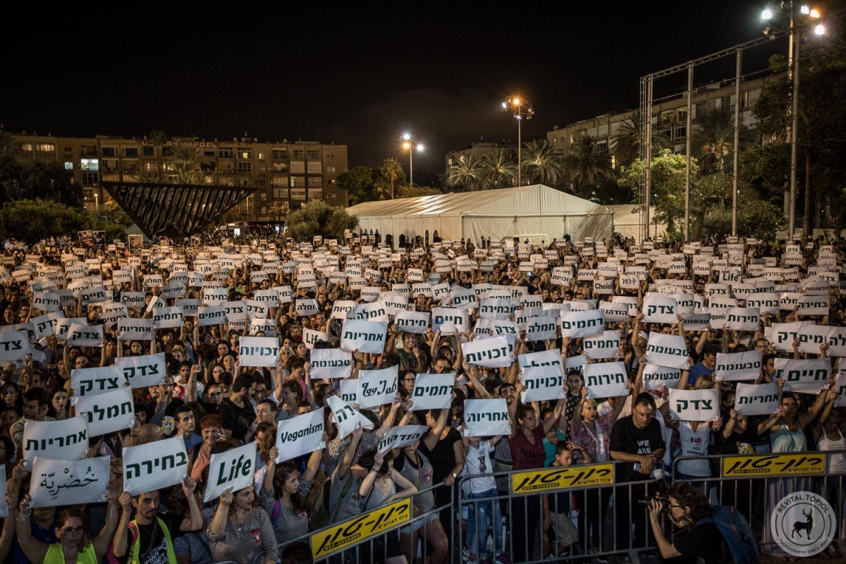 12091435_985499744803739_4566605038751976262_o        