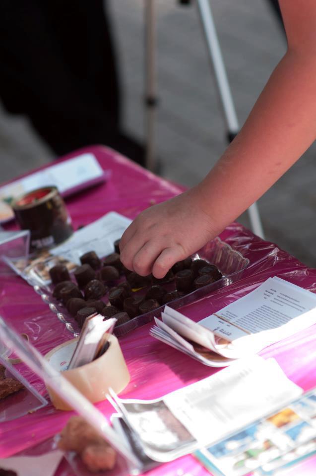 522708_540066772680374_895022765_n        