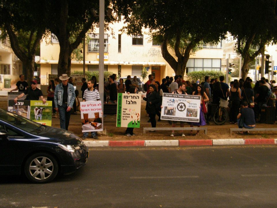 536293_542809589072759_1557753820_n 